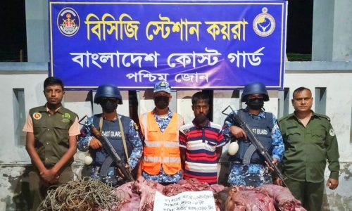 হরিণের মাংসসহ শিকারি আটক করেছে কোস্ট গার্ড