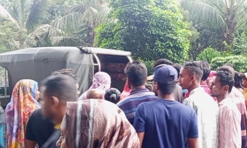 একজন চিকিৎসাধীন অবস্থায় এবং একজন হাসপাতালে আসার আগেই মারা গেছেন