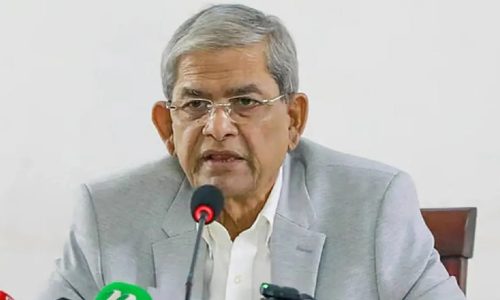 মির্জা ফখরুল ইসলাম আলমগীর। ছবি : সংগৃহীত