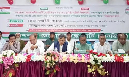 বক্তব্য রাখছেন বিএনপির স্থায়ী কমিটির সদস্য সালাহউদ্দিন আহমদ।