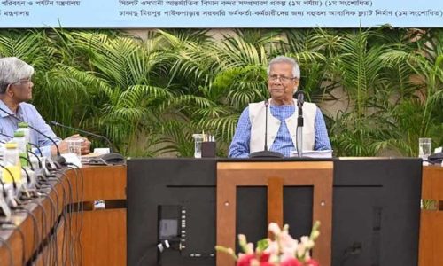 একনেক সভায় প্রধান উপদেষ্টা। ছবি: সংগৃহীত