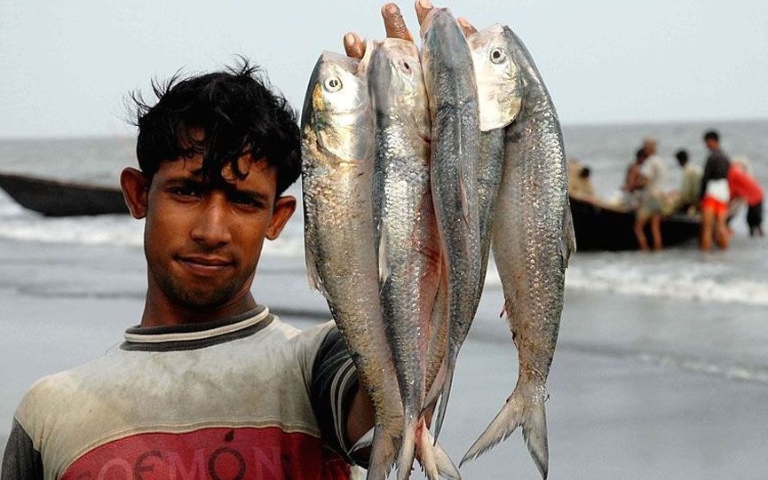 নিষেধাজ্ঞার খবরে আকাশছোঁয়া ইলিশের দাম