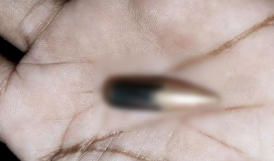 ছবি : সংগৃহীত