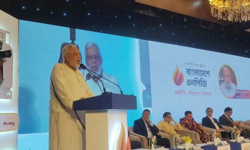 এলপিজি সিলিন্ডার ১ হাজার টাকার মধ্যে হওয়া উচিত : জ্বালানি উপদেষ্টা