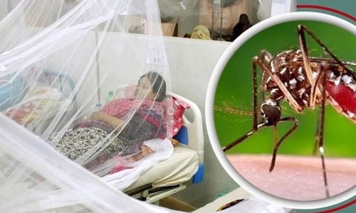 ডেঙ্গুতে আরো ৪ জনের মৃত্যু, হাসপাতালে ভর্তি ৭৫৮