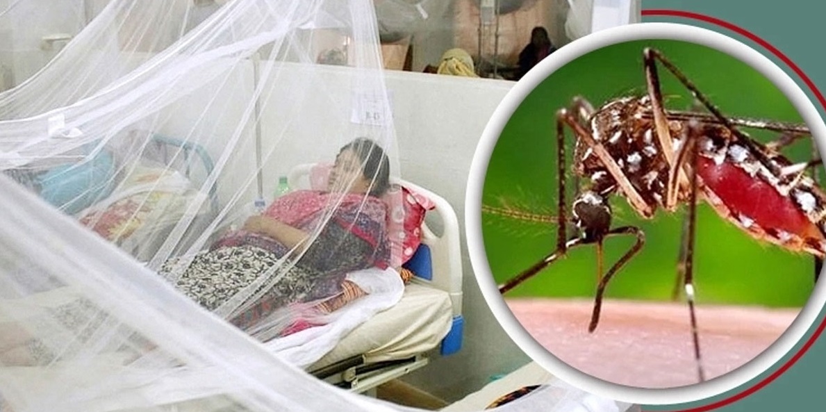 ডেঙ্গুতে আরো ৪ জনের মৃত্যু, হাসপাতালে ভর্তি ৭৫৮