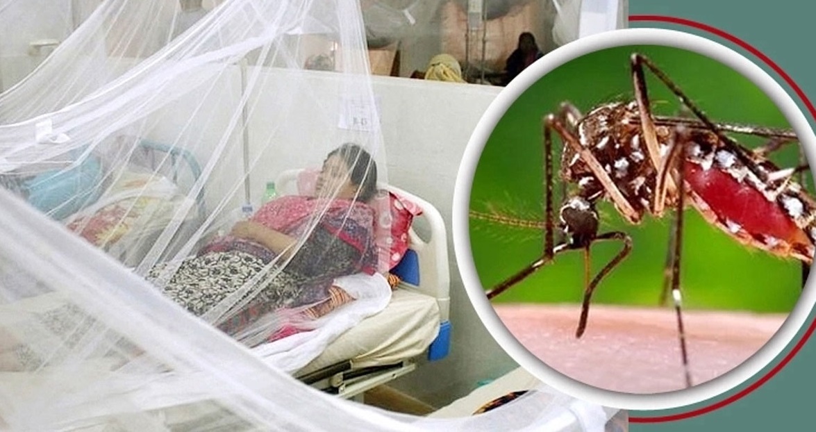 ডেঙ্গুতে আরও ৩ জনের মৃত্যু, হাসপাতালে নতুন ভর্তি ৭০০। ছবি: সংগৃহীত