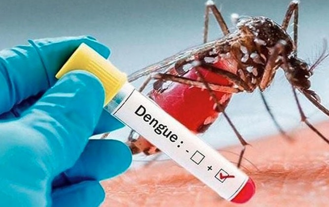 ২৪ ঘণ্টায় ডেঙ্গুতে দু’জনের মৃত্যু, হাসপাতালে ৩৯৬