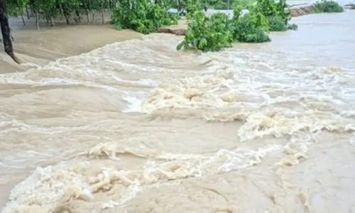 ৪৮ ঘণ্টার মধ্যে বন্যার শঙ্কা যেসব জেলায়