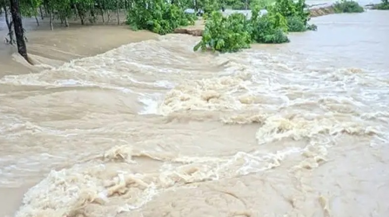 ৪৮ ঘণ্টার মধ্যে বন্যার শঙ্কা যেসব জেলায়