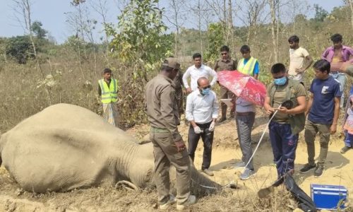 কক্সবাজারের উখিয়ায় একটি বন্যহাতির মৃত্যু।