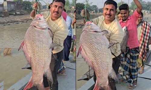 ছবি : সংগৃহীত