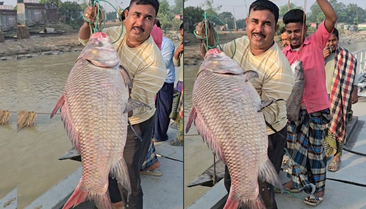 ছবি : সংগৃহীত