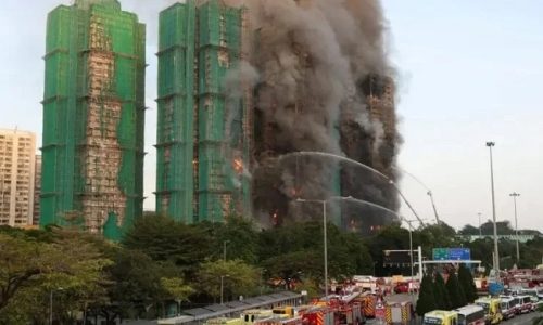 ছবি: সংগৃহীত।