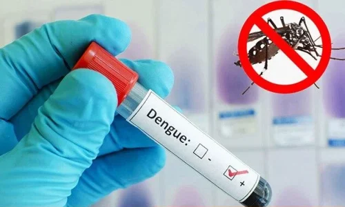 ২৪ ঘণ্টায় ডেঙ্গুতে ৮ জনের মৃত্যু, হাসপাতালে ভর্তি ৭৭৮ ছবি: সংগৃহীত।