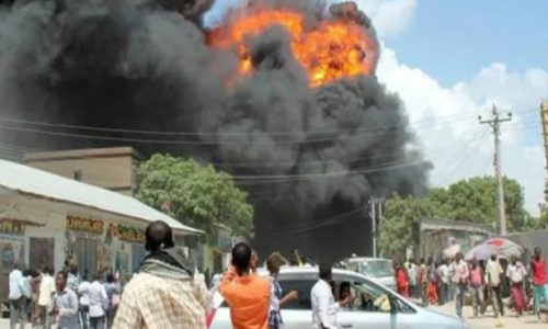 ছবি: সংগৃহীত।