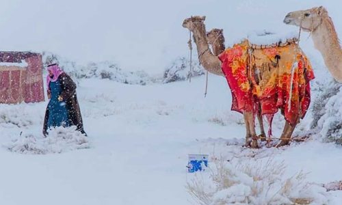 ছবি: সংগৃহীত।