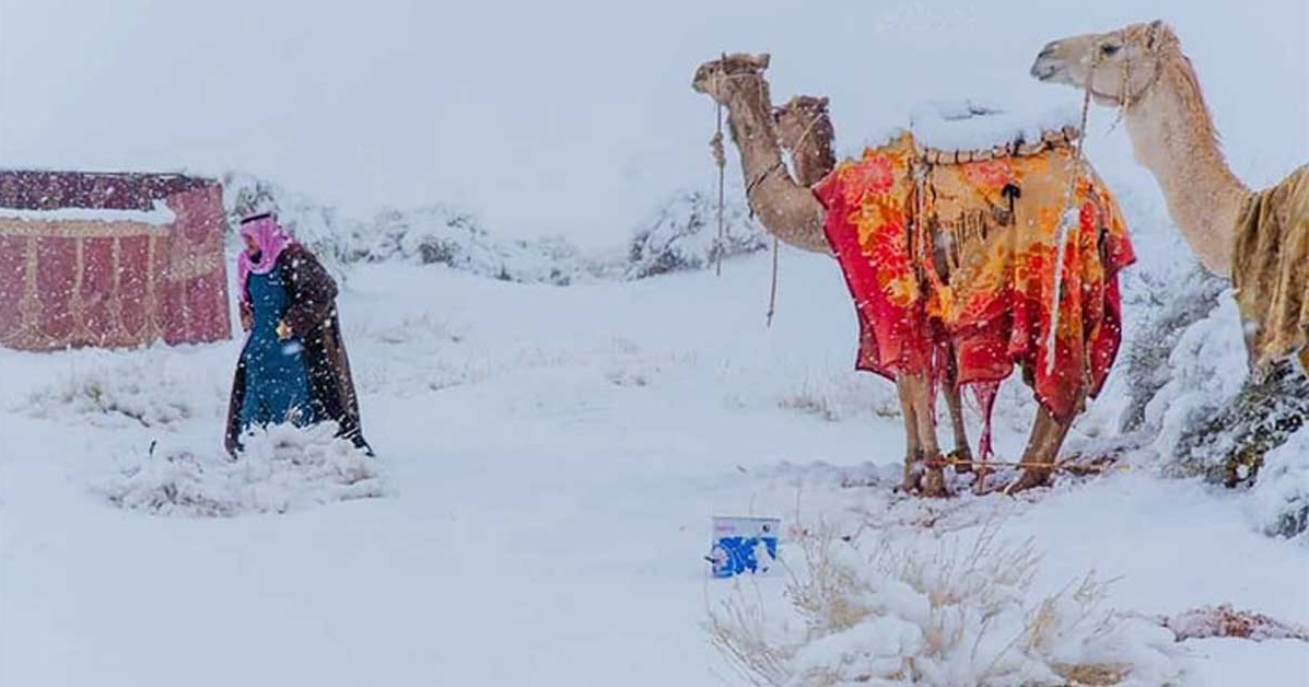 ছবি: সংগৃহীত।