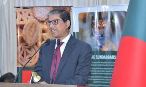 ছবি: সংগৃহীত।