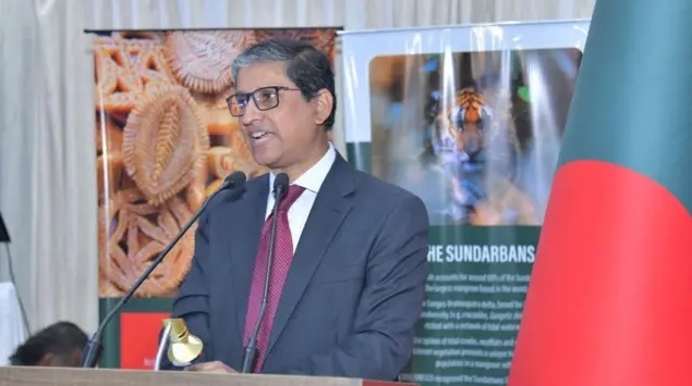 ছবি: সংগৃহীত।