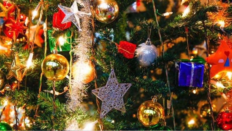 ছবি: সংগৃহীত।