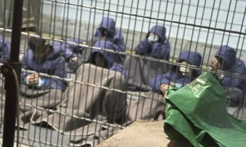 ছবি: সংগৃহীত।