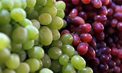 ছবি: সংগৃহীত।