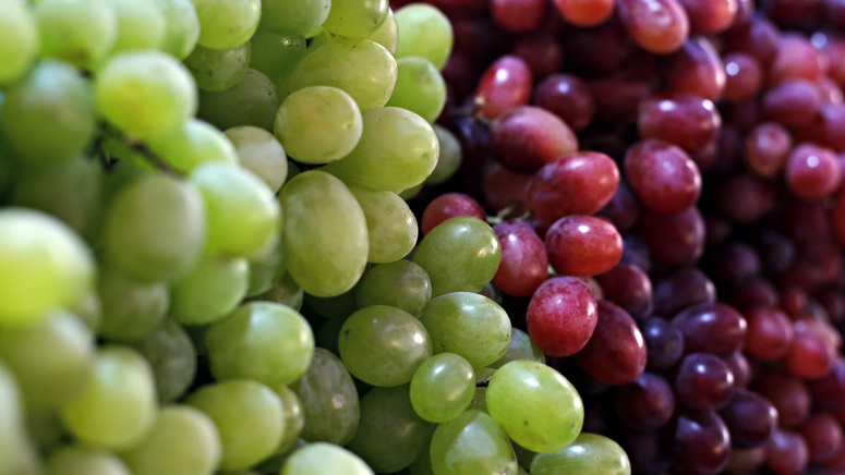 ছবি: সংগৃহীত।