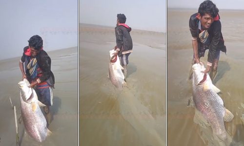 ছবি: সংগৃহীত।