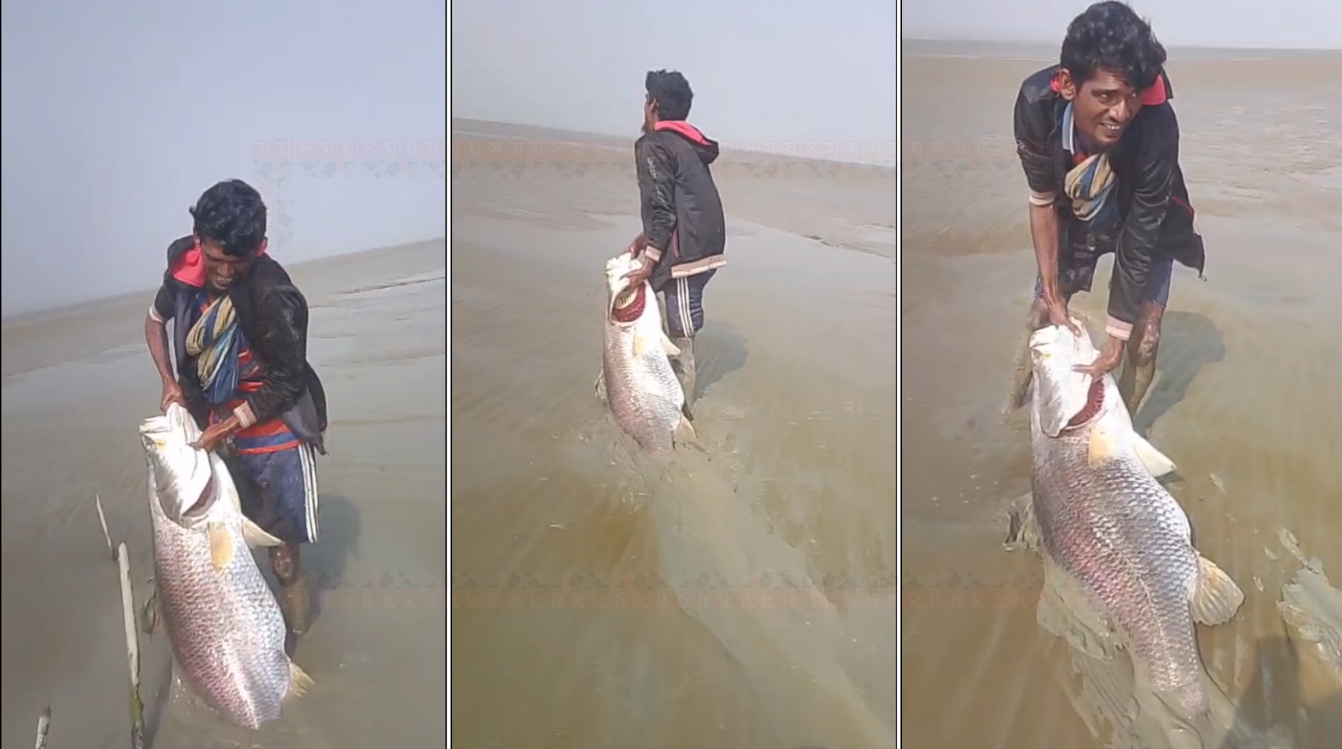 ছবি: সংগৃহীত।