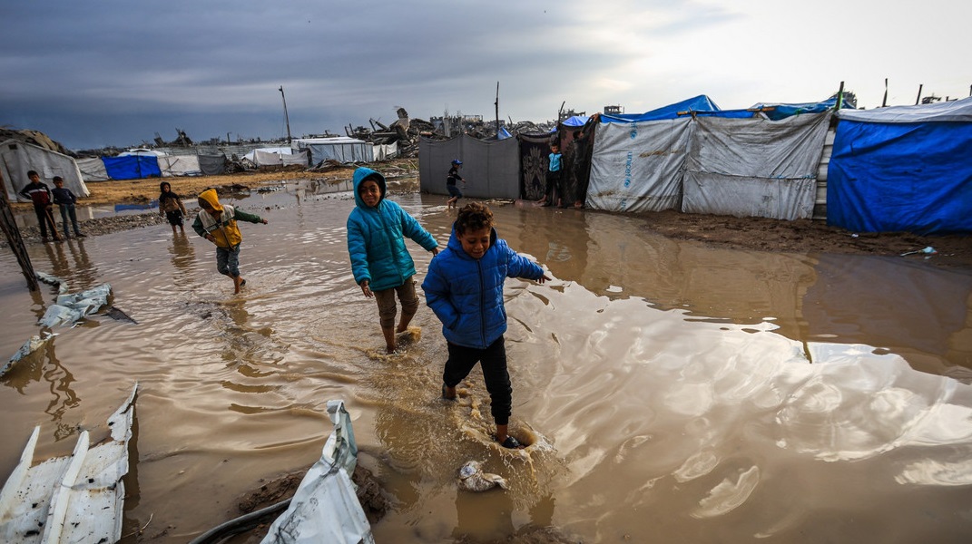 ছবি: সংগৃহীত।