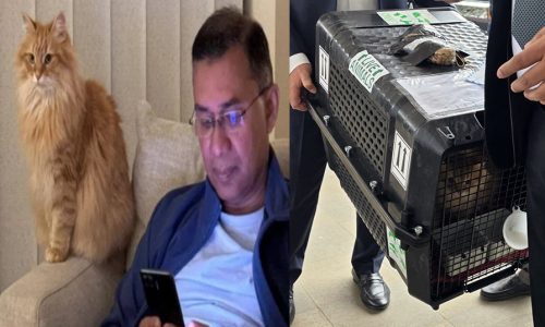 ছবি: সংগৃহীত।