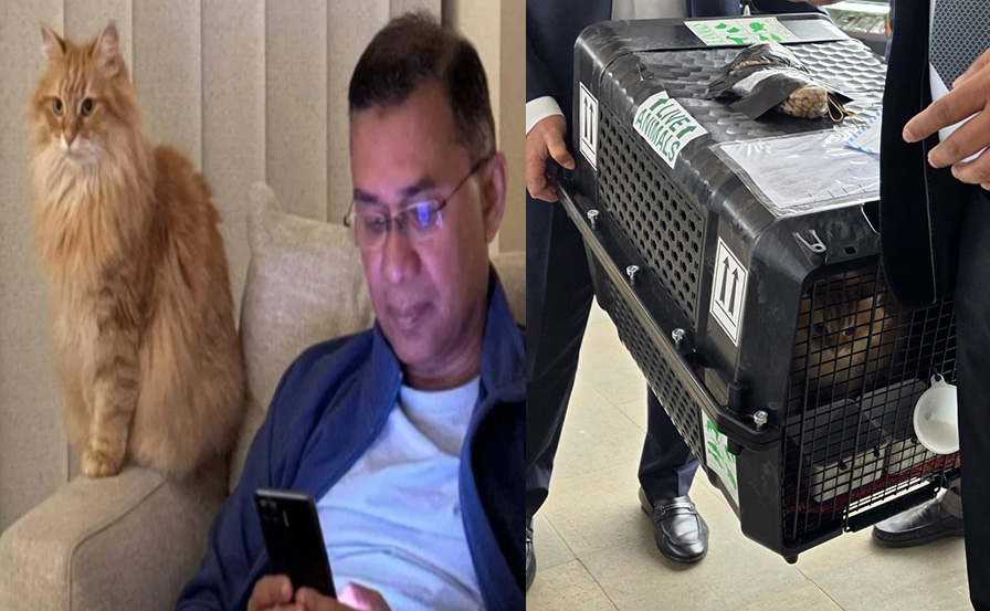 ছবি: সংগৃহীত।