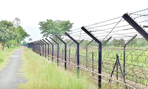 ছবি: সংগৃহীত।