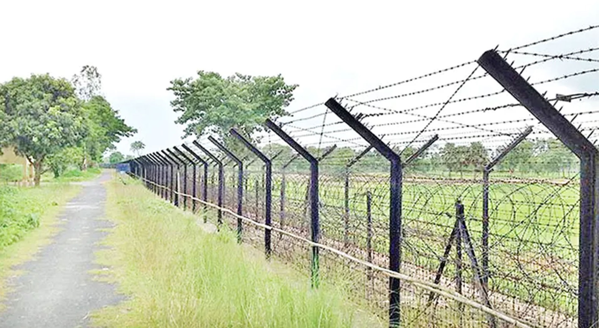 ছবি: সংগৃহীত।