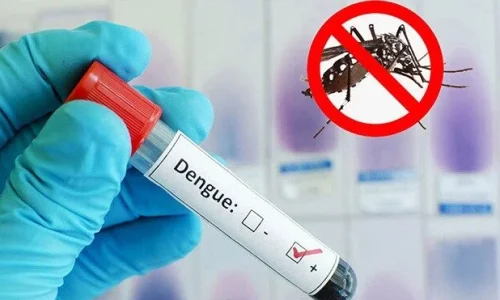 ছবি: সংগৃহীত।