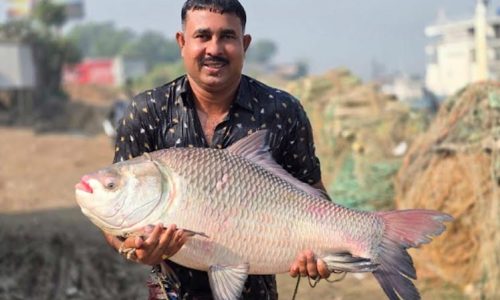 ছবি: সংগৃহীত।