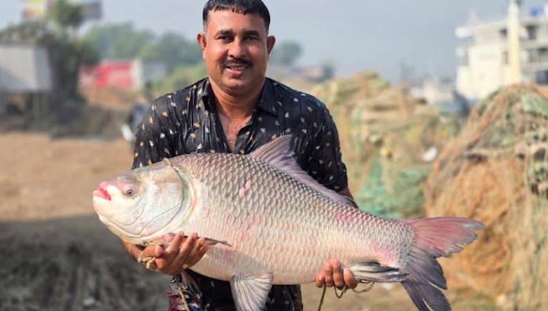 ছবি: সংগৃহীত।