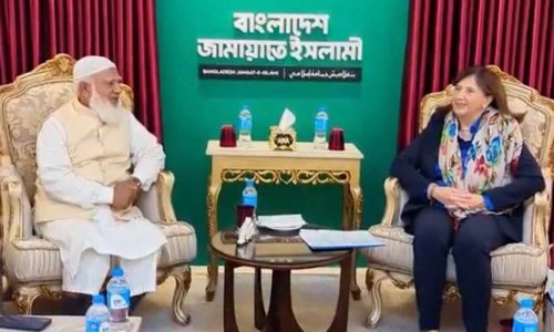 ছবি: সংগৃহীত।