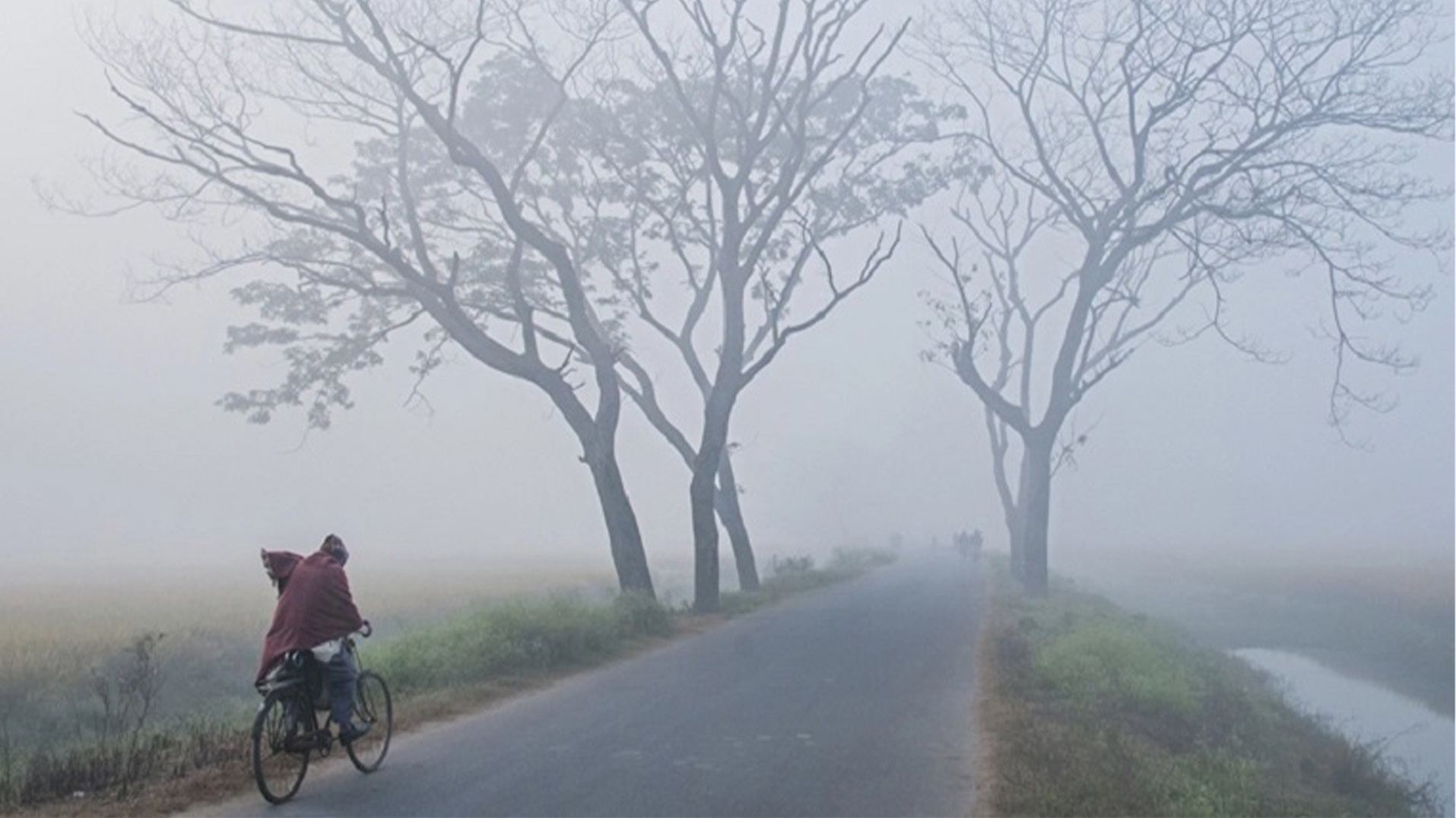 ছবি: সংগৃহীত।