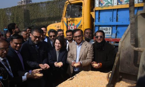 ছবি: সংগৃহীত।