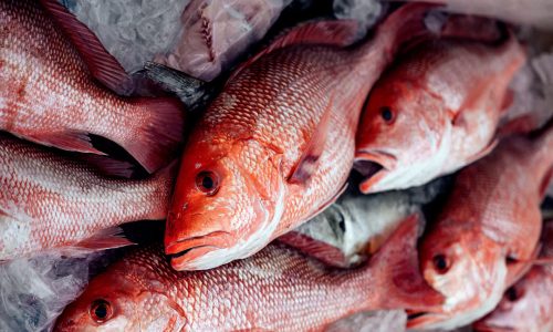 ছবি: সংগৃহীত।