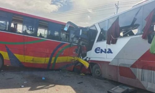 ছবি: সংগৃহীত।