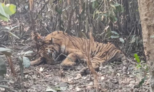 ছবি: সংগৃহীত।