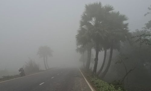 ছবি: সংগৃহীত।