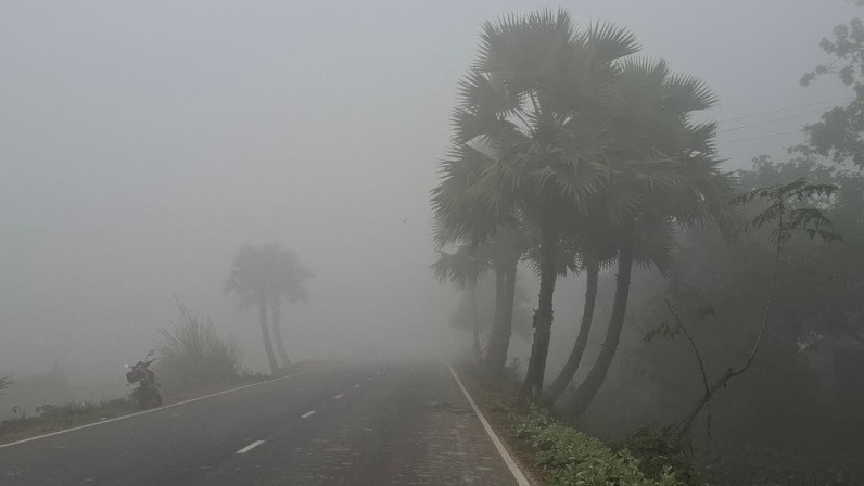 ছবি: সংগৃহীত।