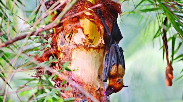 ছবি: সংগৃহীত।