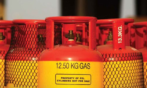 ছবি: সংগৃহীত।