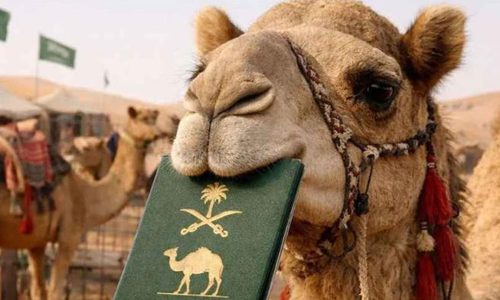 ছবি: সংগৃহীত।