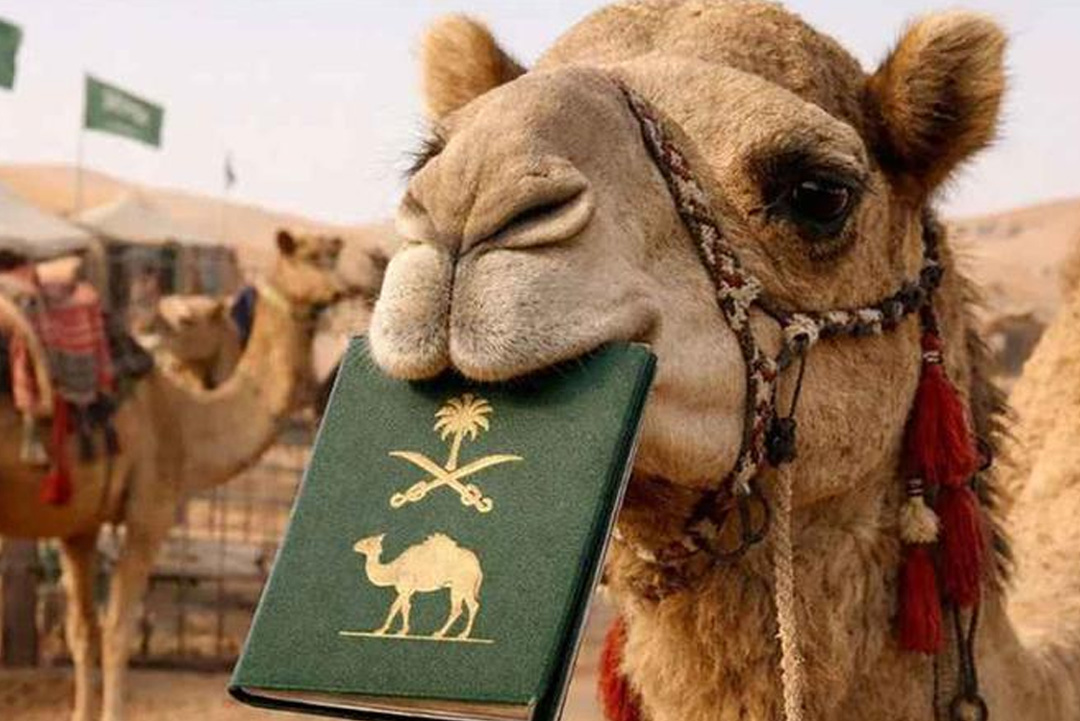 ছবি: সংগৃহীত।